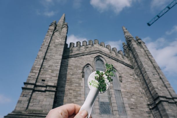 St Patrick's Cathedral in Dublin, Ireland with shamrock