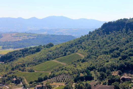 Umbrian countryside