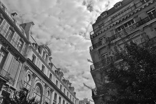 Looking up at the clouds