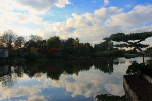 Chicago Botanic1