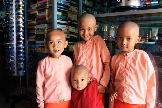 baby monks