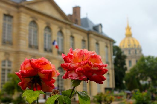 Musee Rodin gardens, Paris