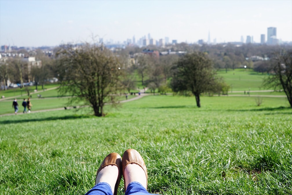 primrose hill relax