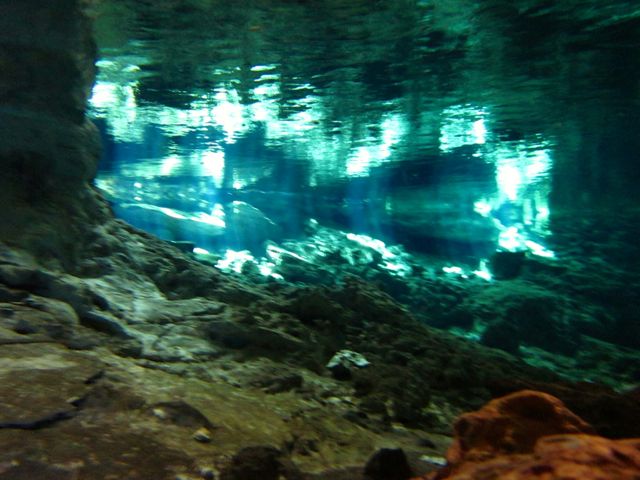 day trips from cancun to the cenotes