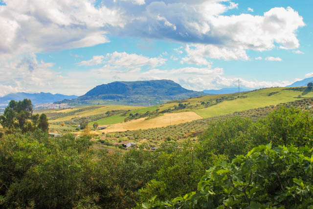 Andalucia countryside near Alora