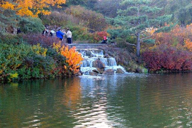 Chicago Botanic04