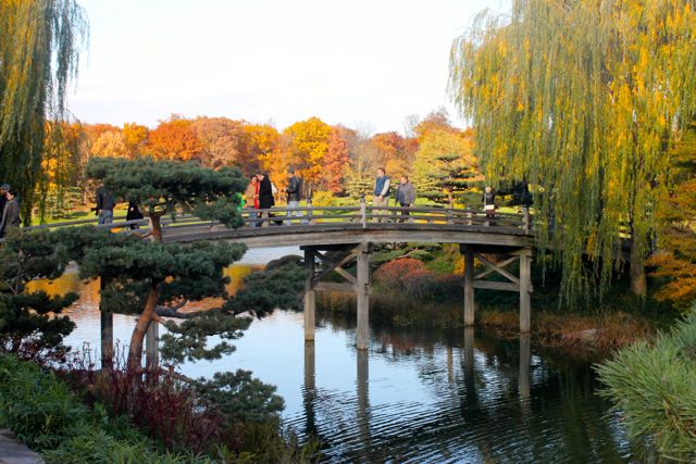 Chicago Botanic08