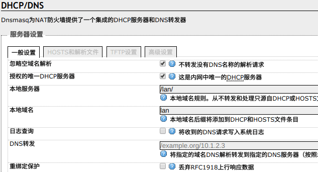 DNS 重绑定保护