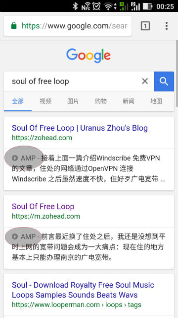 Google 搜索结果 AMP 标志