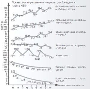 Показатели выращивания индюшат до 8 недель
