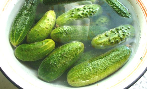 Вымачивание огурцов