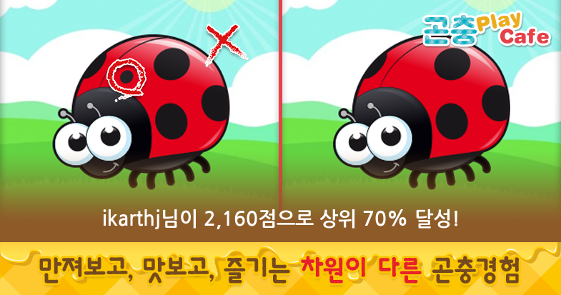 모두의곤충 이미지