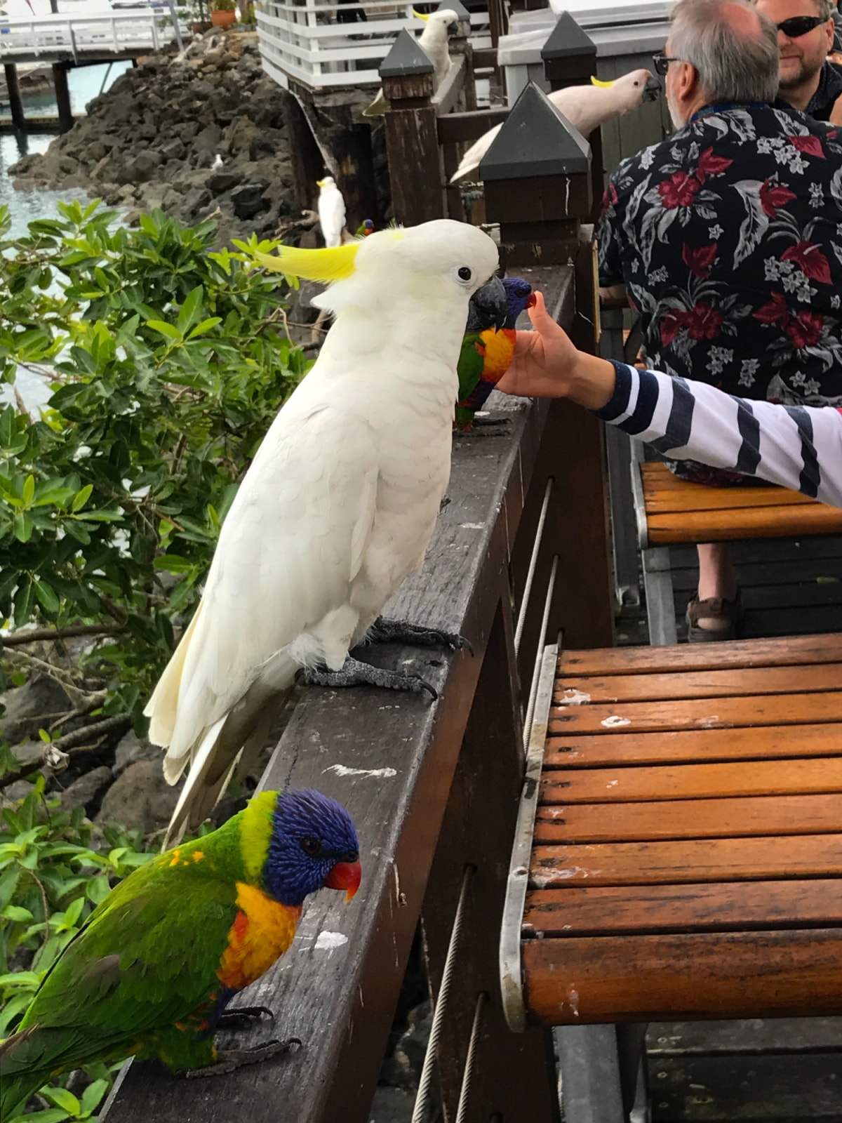 &lsquo;Do not feed the birds&rsquo;