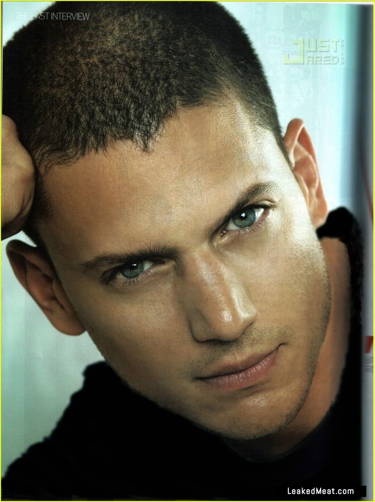 Wentworth Miller porno picture