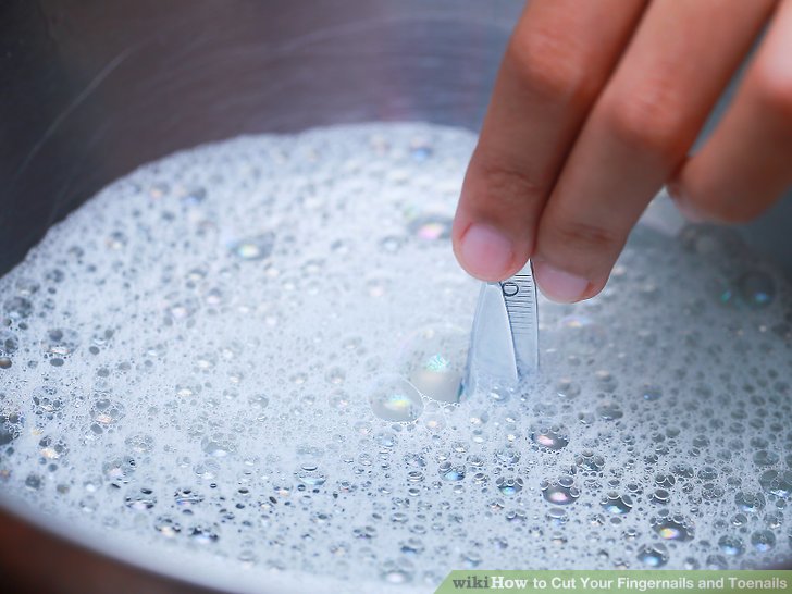 Image titled Cut Your Fingernails and Toenails Step 3