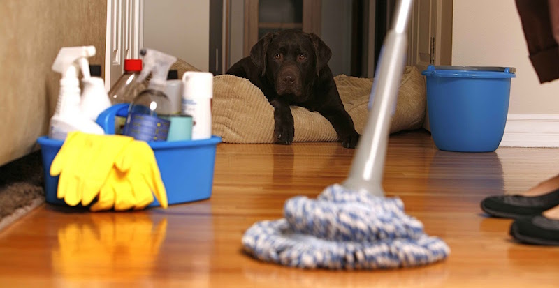 Cleaning Services In Greensboro