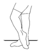 Figure 4. Shin Stretch