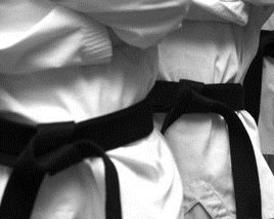 Mount Airy Adult Martial Arts