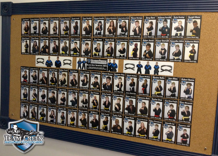 Facilities Team Creek Martial Arts