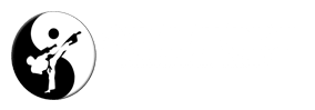 Skillz Martial arts in Jupiter - Symmetry Martial Arts