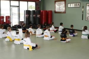 students in kids martial arts in Bellevue - American Academies of Martial Arts students in kids martial arts in Bellevue - American Academies of Martial Arts