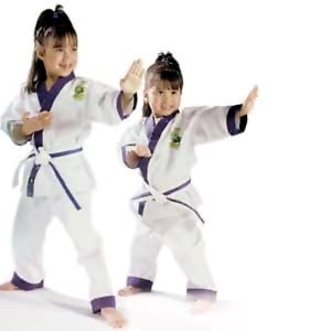 Kids Martial Arts in Helensvale - Southern Cross Martial Arts