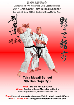 Kids Martial Arts in Helensvale - Southern Cross Martial Arts