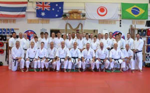 Kids Martial Arts in Helensvale - Southern Cross Martial Arts - Taira Bunkai Gold Coast 2017