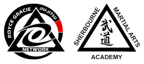 Kids Camps And Birthdays in London - Sherbourne Martial Arts Academy