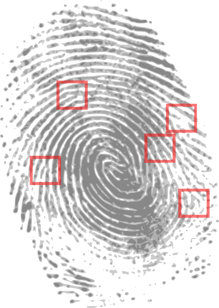 Fingerprint as evidence