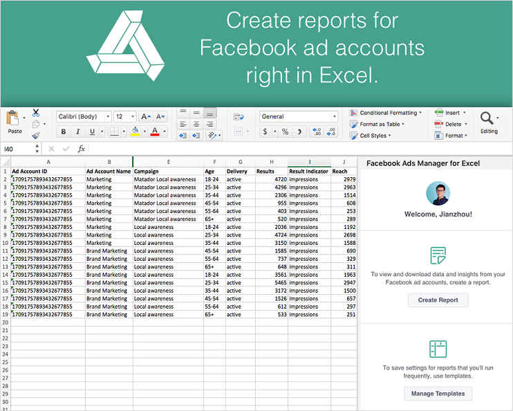 Facebook Ads Manager for Excel