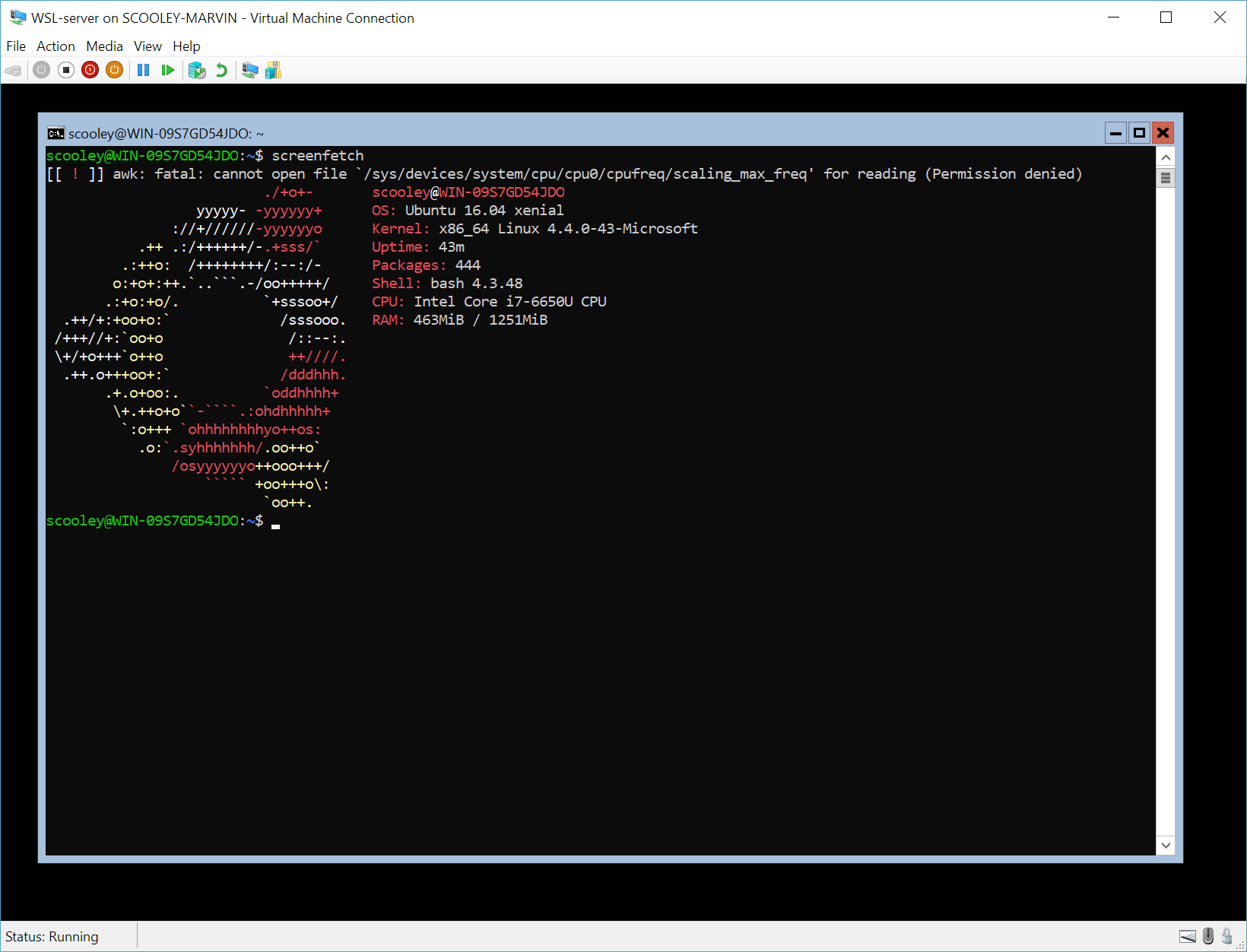 New Linux environment on Windows Server