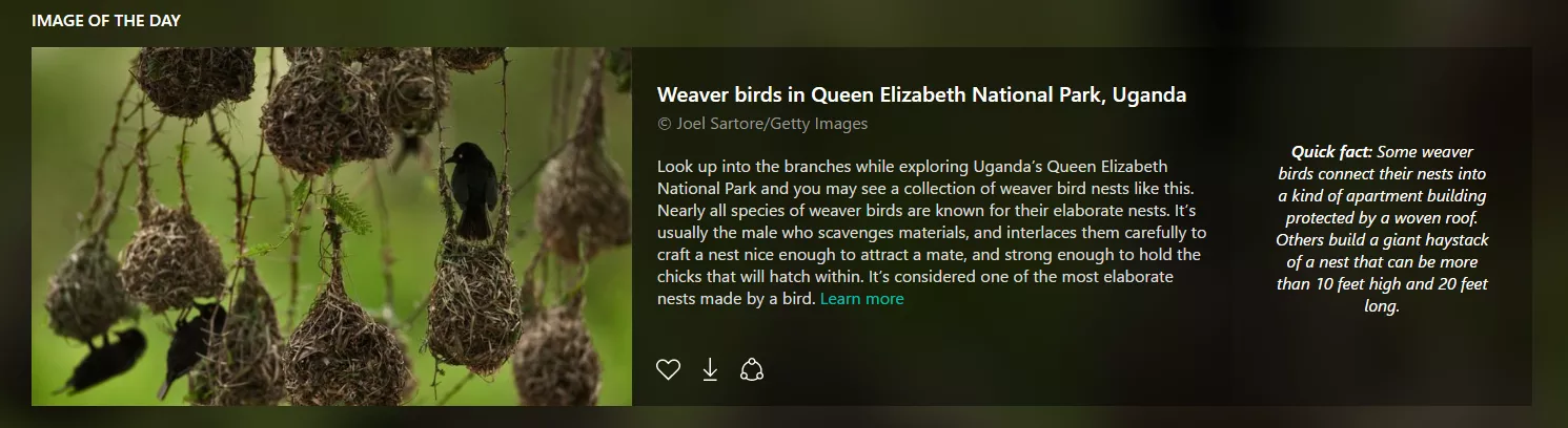 Bing Image of the Day: Expanded story