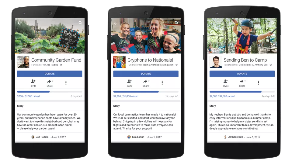 Facebook Fundraiser Categories Example
