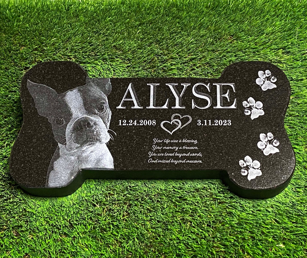 个性化宠物礼物