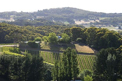 Adelaide Hills Region Image