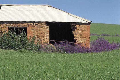 Clare Valley Region Image