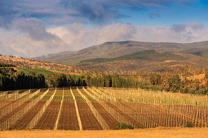 Hobart & South Region Image