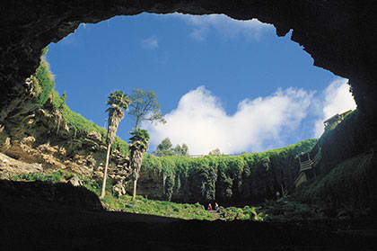 Limestone Coast Region Image