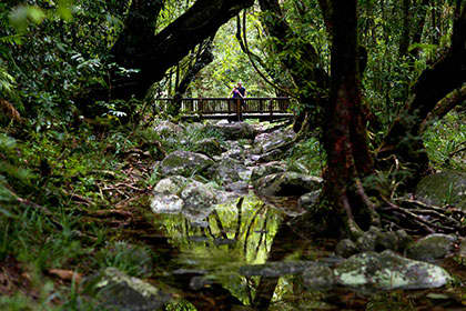 Tropical North Queensland Region Image