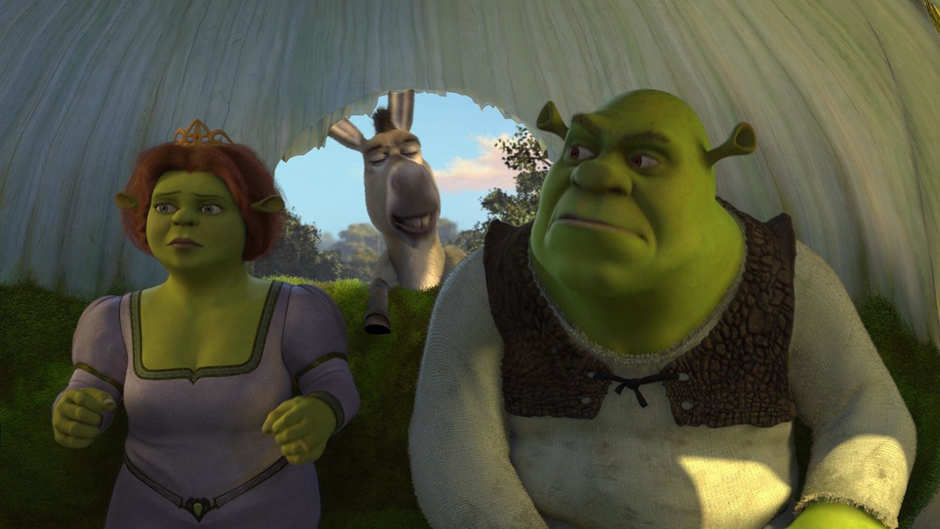 Images For > Shrek 2 Fiona