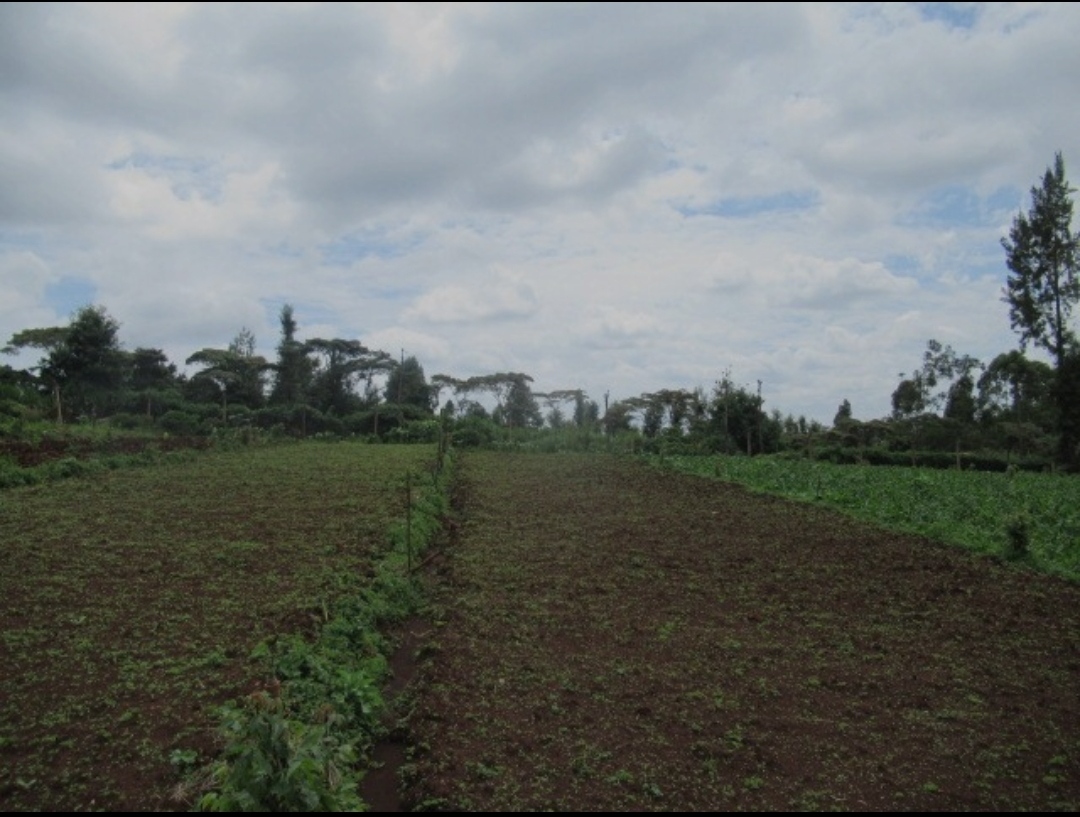 land in Ikeja, Lagos