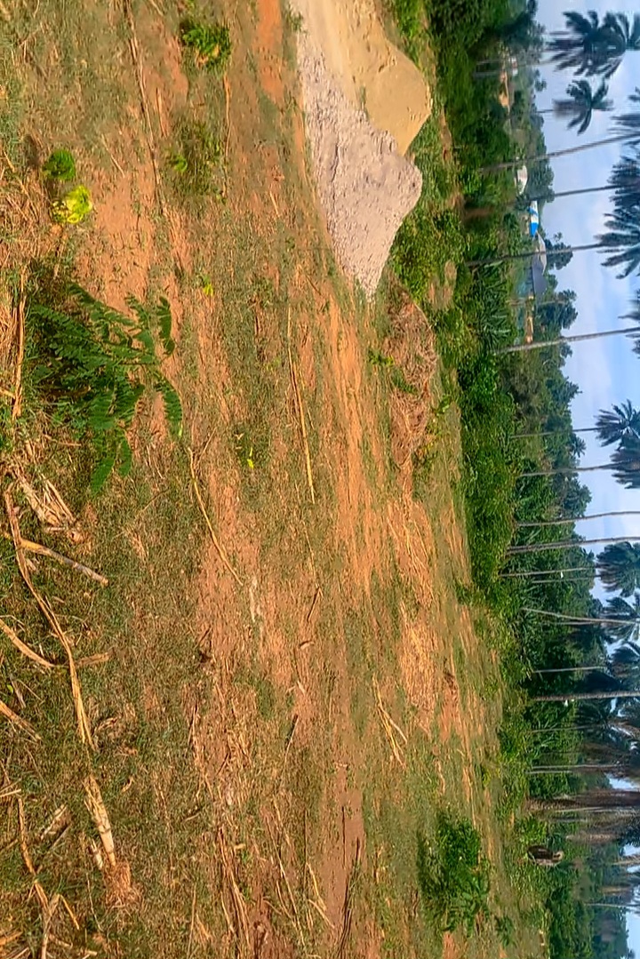 land in Osogbo, Osun