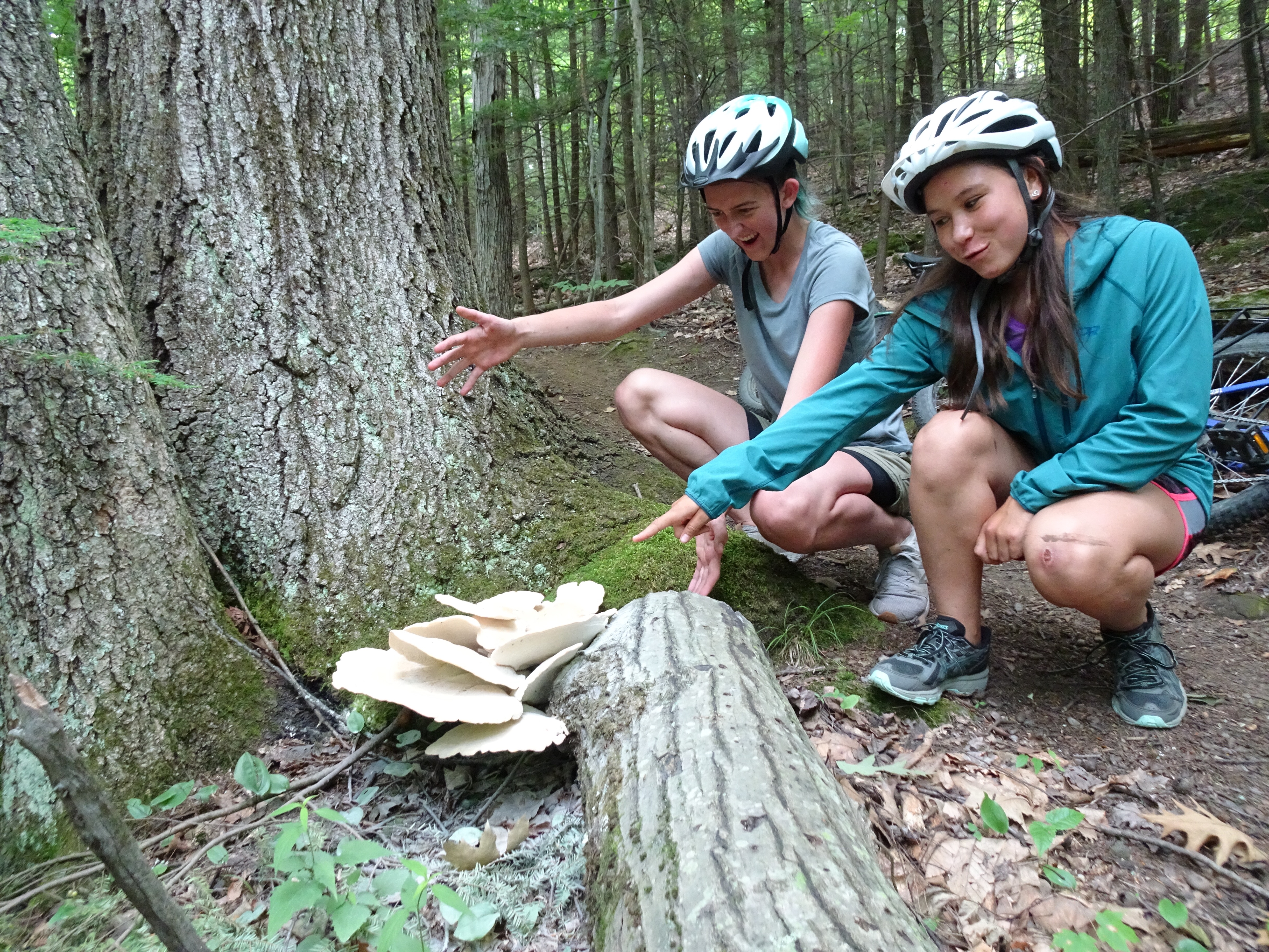 Bike Girls!