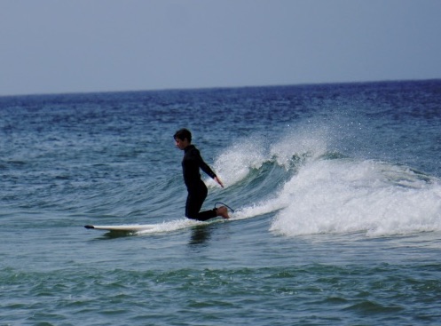 Cape Cod Ocean Bonanza