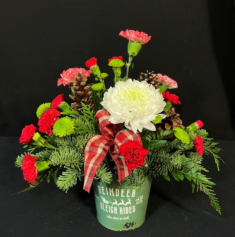 Reindeer Sleigh Ride in Highland, IL The Greenhouse Florist & Gift Shop