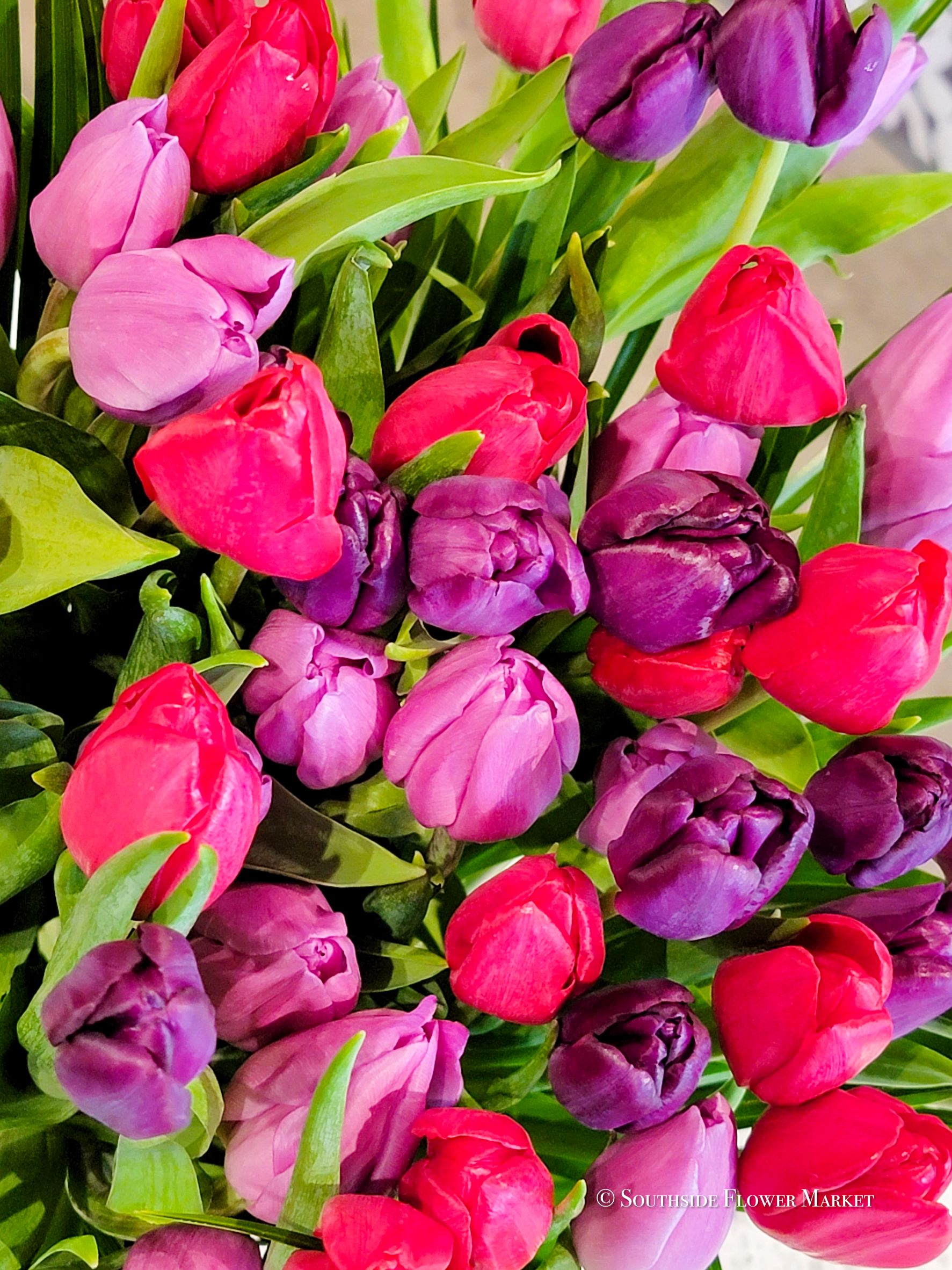 Tulip Bunch Wrapped Flower Delivery Grand Rapids MI Southside Flower Market