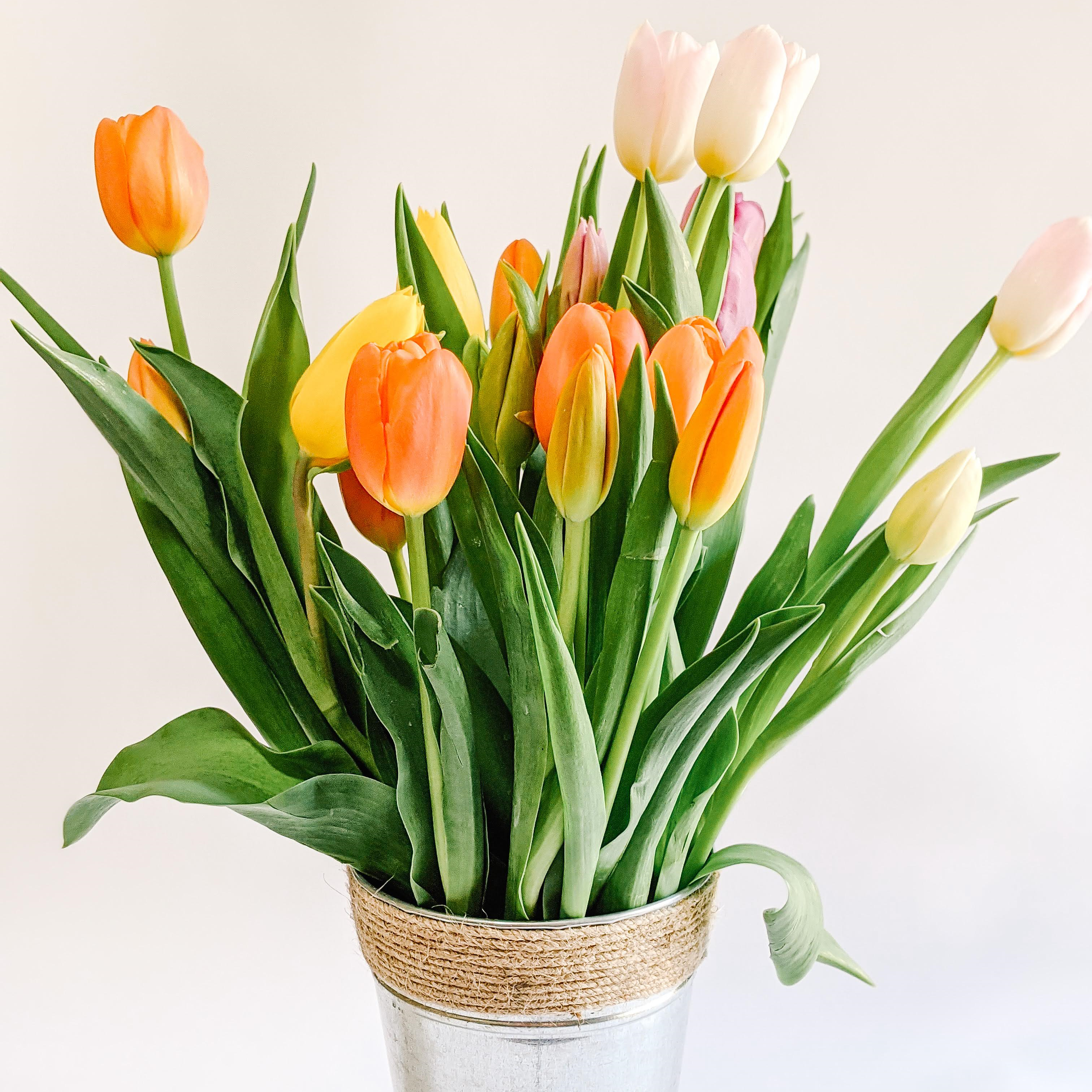 orange and yellow tulip bouquets