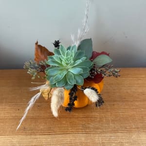 Mini Pumpkin Trio