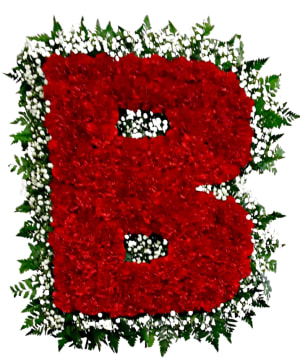 Custom Letter Floral Tribute (CHOOSE ANY LETTER & ANY COLOR CARNATIONS) FW-610 *NEED 7 DAYS ADVANCE NOTICE*
